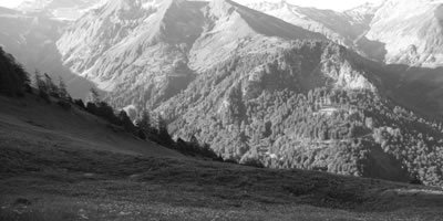 Die Rechtler | Giebel Alpe