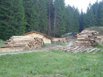 Holzeinschlag Hochleite | Die Rechtler Holzeinschlag Hochleite | Die Rechtler