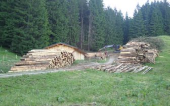 Holzeinschlag Hochleite | Die Rechtler