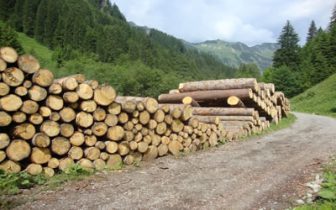 Holzeinschlag Traufbachtal | Die Rechtler