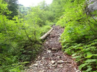 Sanierung Tobelweg | Die Rechtler Sanierung Tobelweg | Die Rechtler